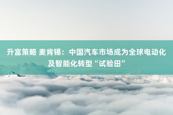 升富策略 麦肯锡：中国汽车市场成为全球电动化及智能化转型“试验田”