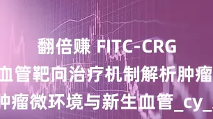 翻倍赚 FITC-CRGD在肿瘤新生血管靶向治疗机制解析肿瘤微环境与新生血管_cy_染料_成像