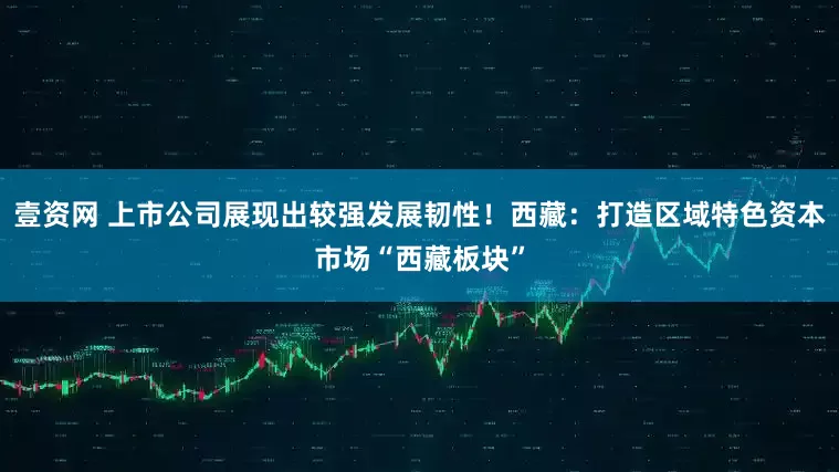 壹资网 上市公司展现出较强发展韧性！西藏：打造区域特色资本市场“西藏板块”