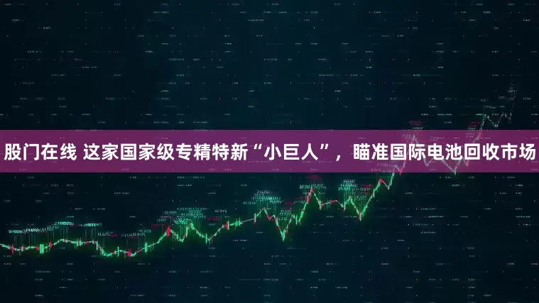 股门在线 这家国家级专精特新“小巨人”，瞄准国际电池回收市场