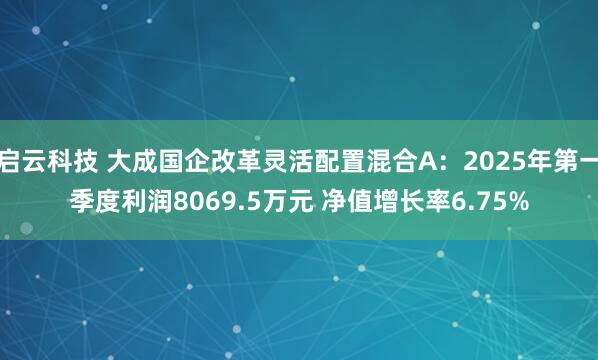 启云科技 大成国企改革灵活配置混合A：2025年第一季度利润8069.5万元 净值增长率6.75%